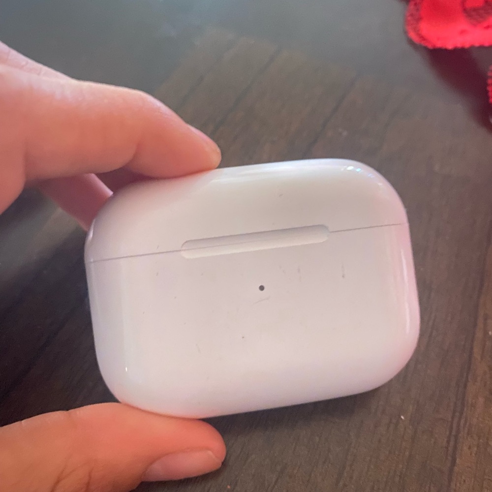 airpod pro case only